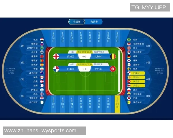 2018世界杯足球赛精彩回顾与历史意义分析